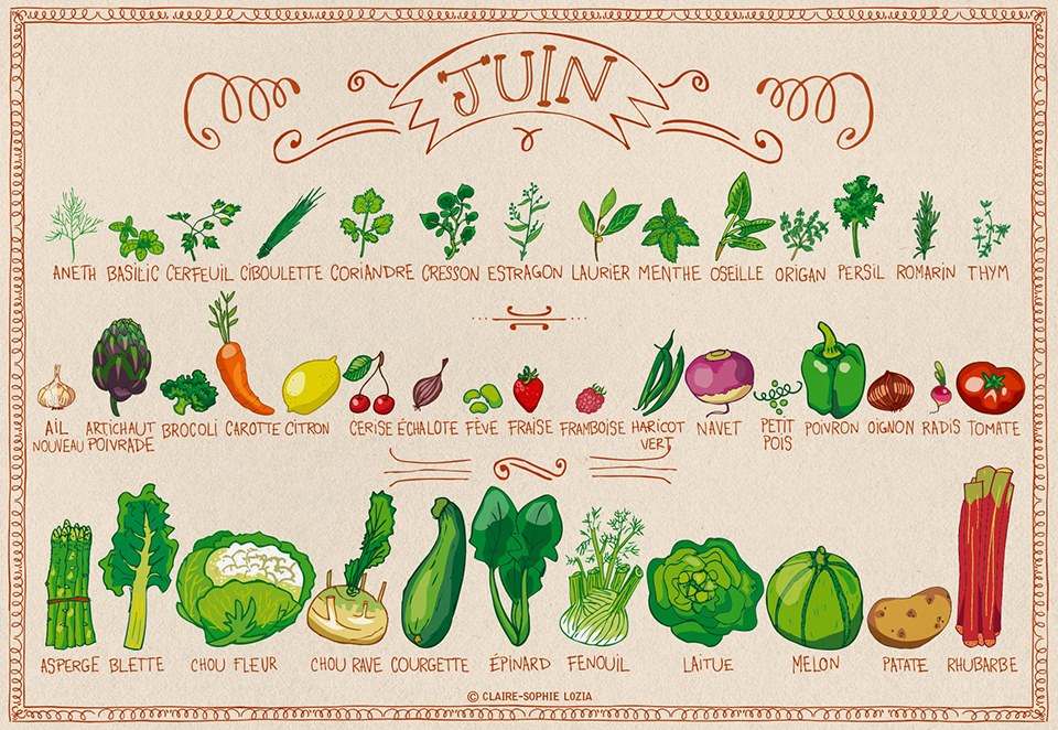 Fruits & Légumes Juin